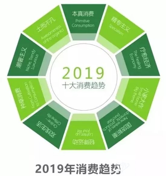 2019鱦ҵչߴƣGET