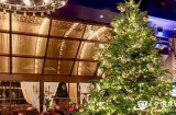 西班牙一酒店推出全球史上最贵圣诞树