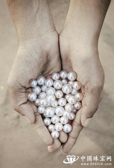 环保养殖珍珠为可持续发展铺路