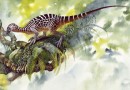 “侏罗纪”再临？！琥珀标本中惊现史前恐龙尾巴